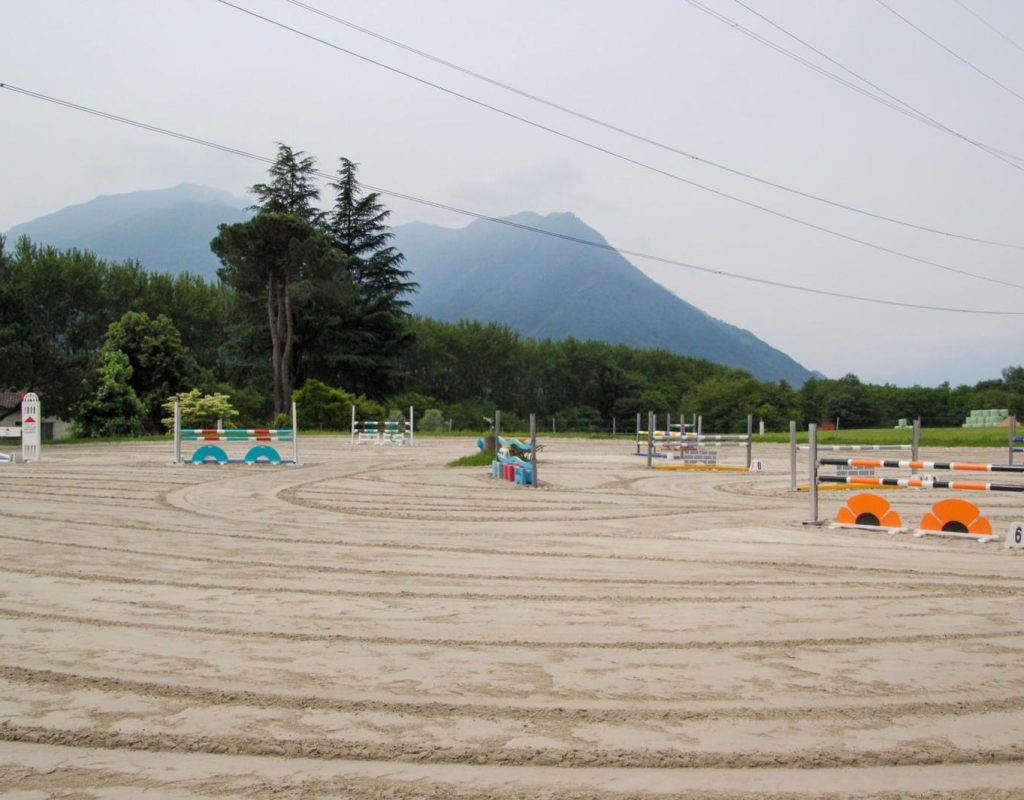 Resinelli-cavalli_Campo-5