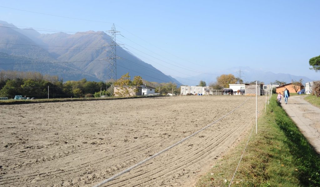 Resinelli-cavalli_Campo-6