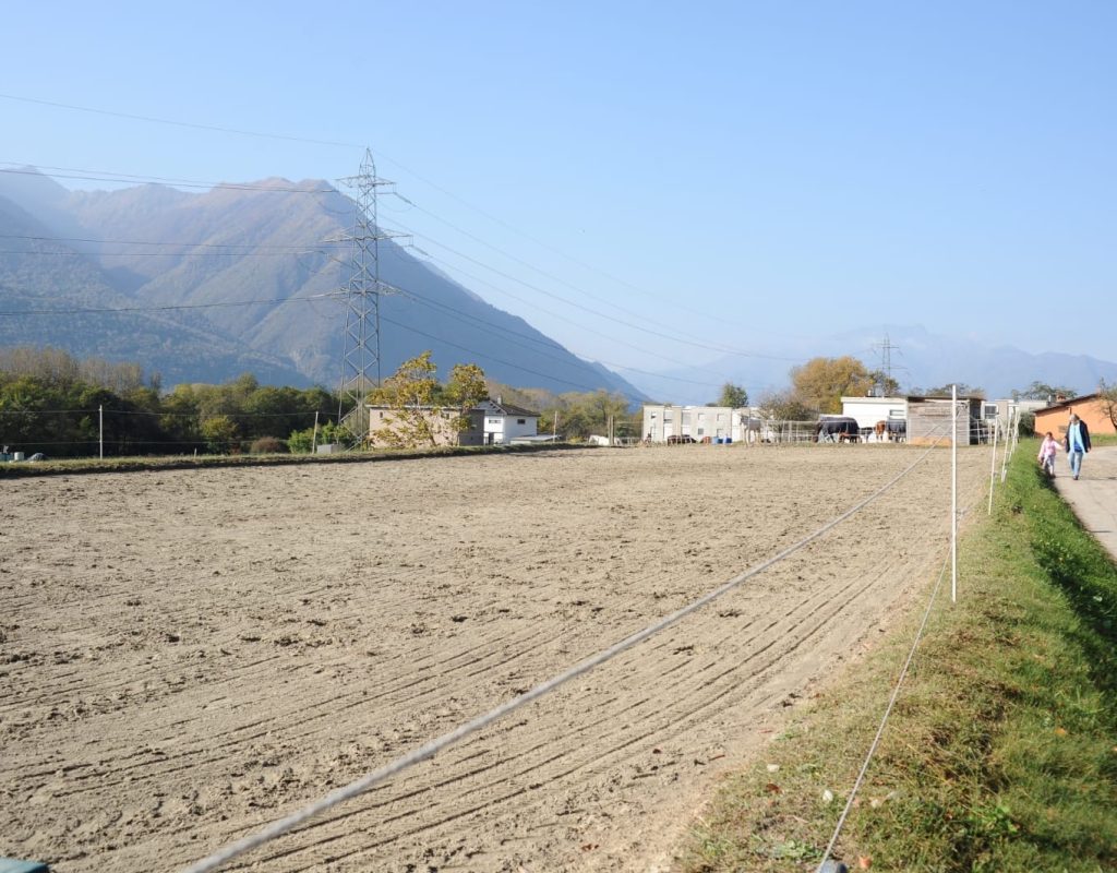 Resinelli-cavalli_Campo-6