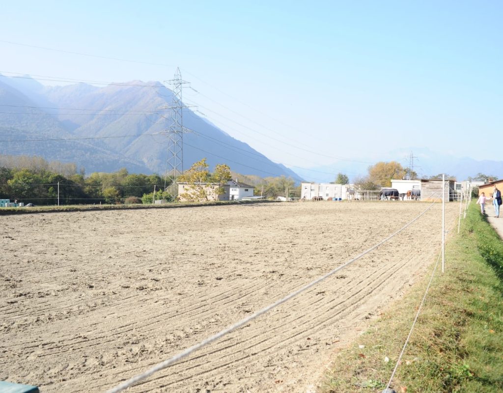 Resinelli-cavalli_campo-2