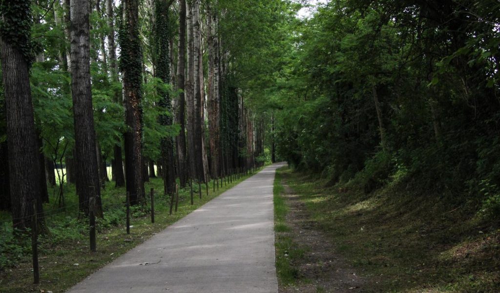 Resinelli-cavalli_passeggiata-1