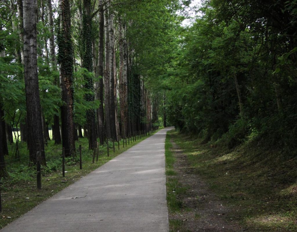 Resinelli-cavalli_passeggiata-1