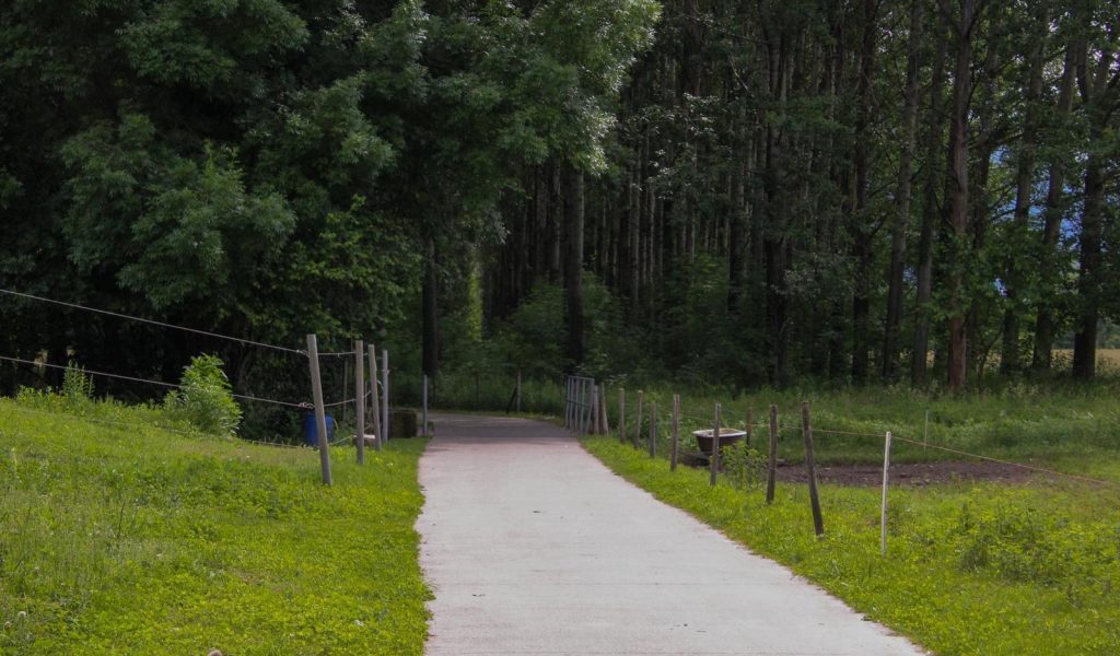 Resinelli-cavalli_passeggiate