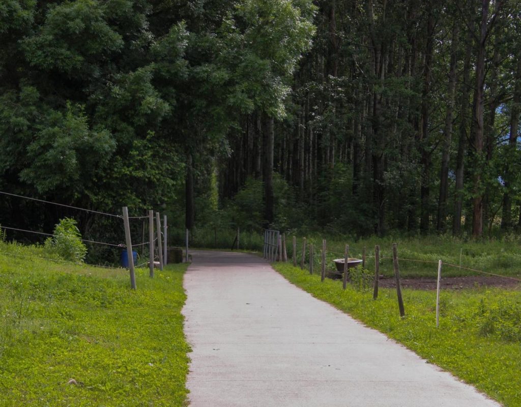 Resinelli-cavalli_passeggiate